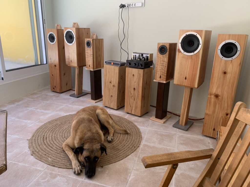 Our lineup paired with Pier Audio MS84 and Volumio Primo